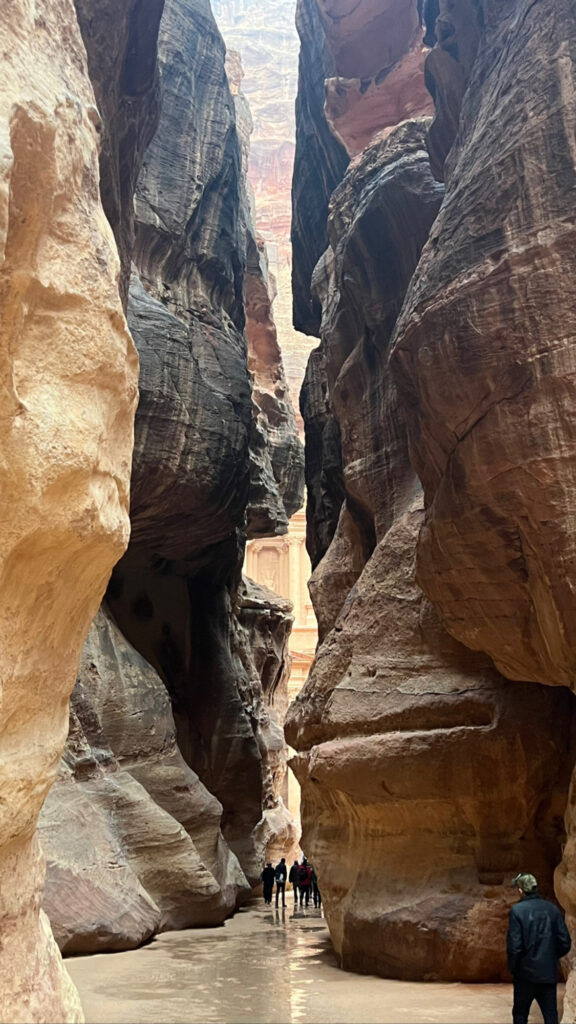 Petra-il tesoro