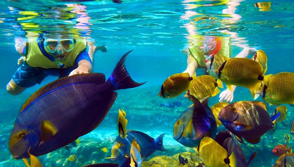 Snorkeling-maldive