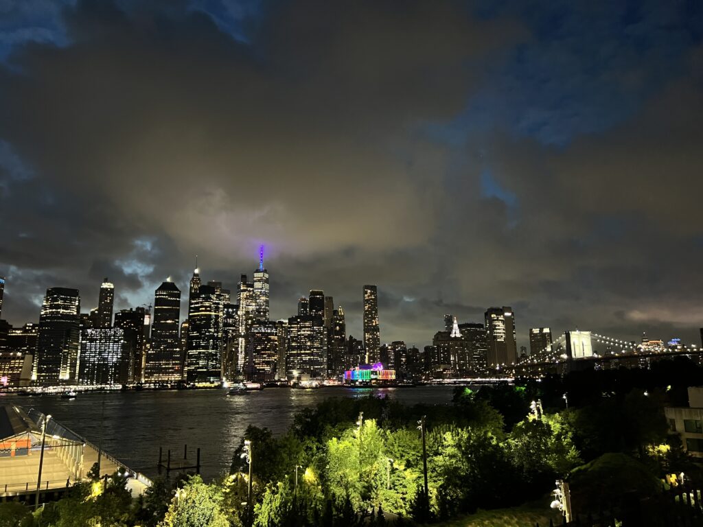 Brooklyn Promenade vista su lower manhattan