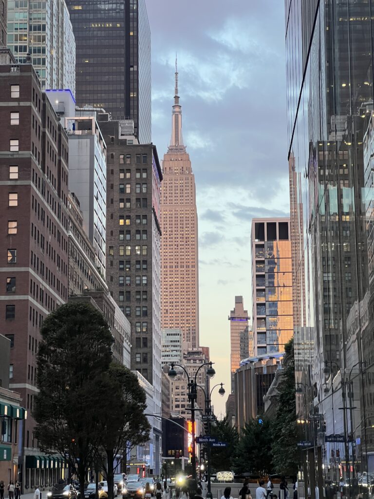 vista di New York con l'Empire State building sullo sfondo